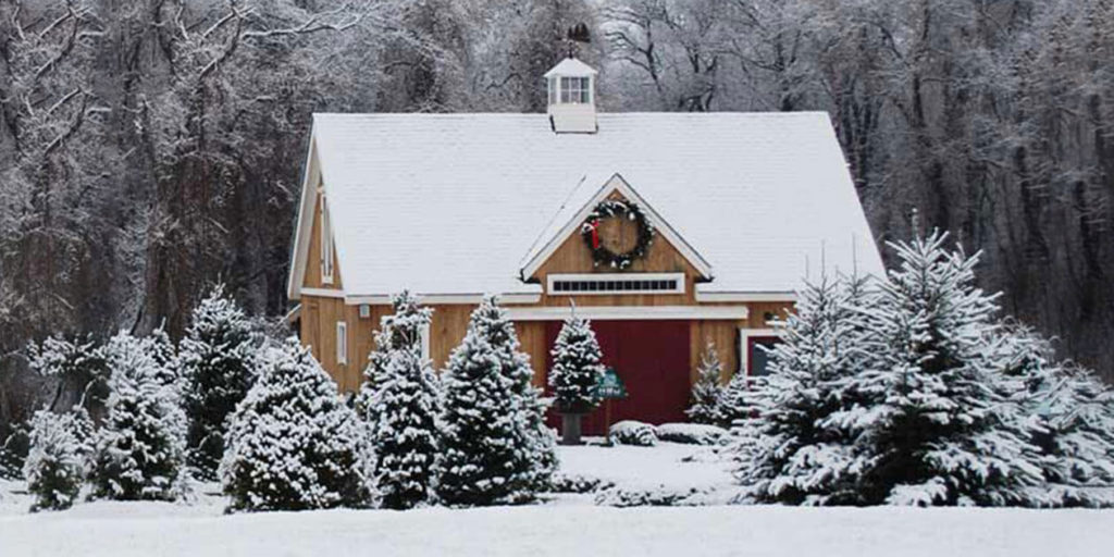 Clark’s Christmas Tree Farm