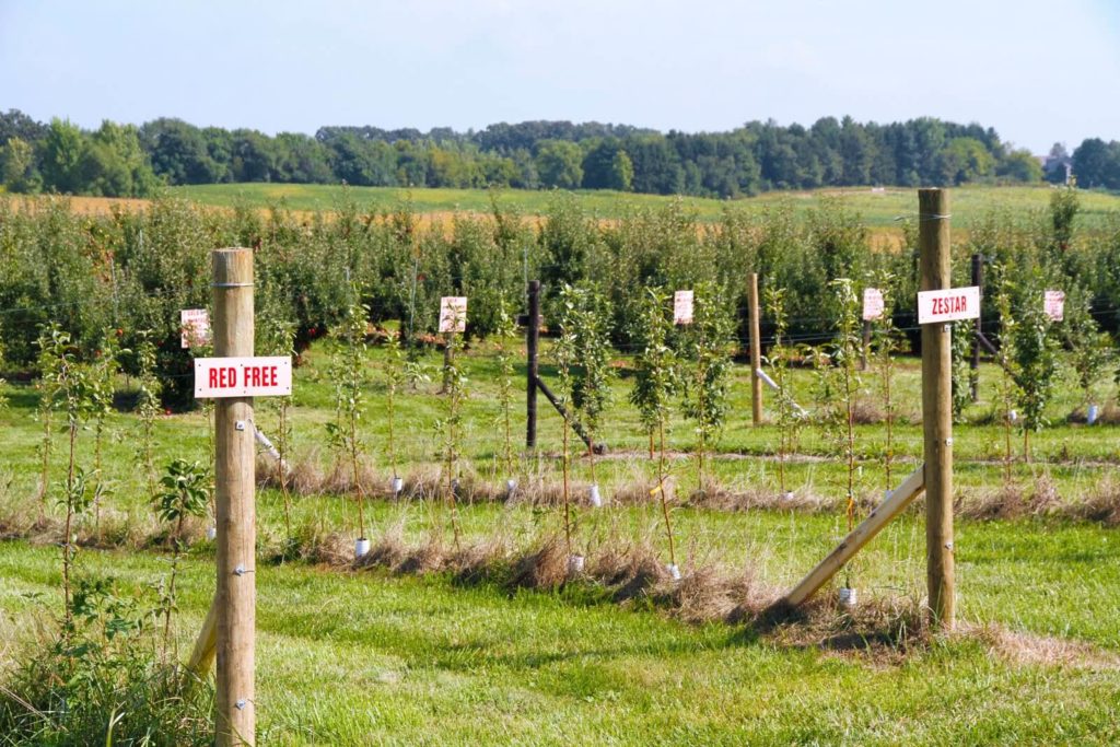 Kuipers Family Farm 