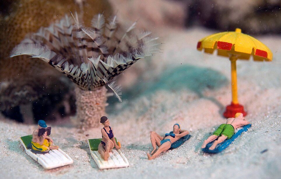 Miniature Photography Ideas