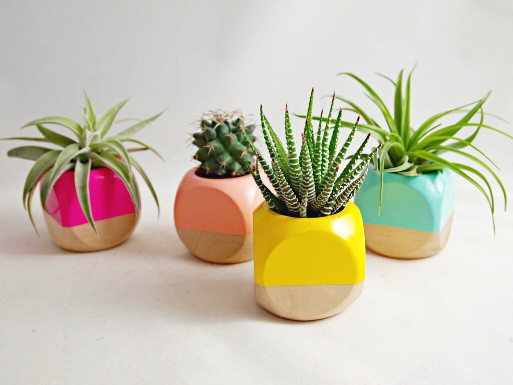 Sea & Asters Geometric Succulent Planter