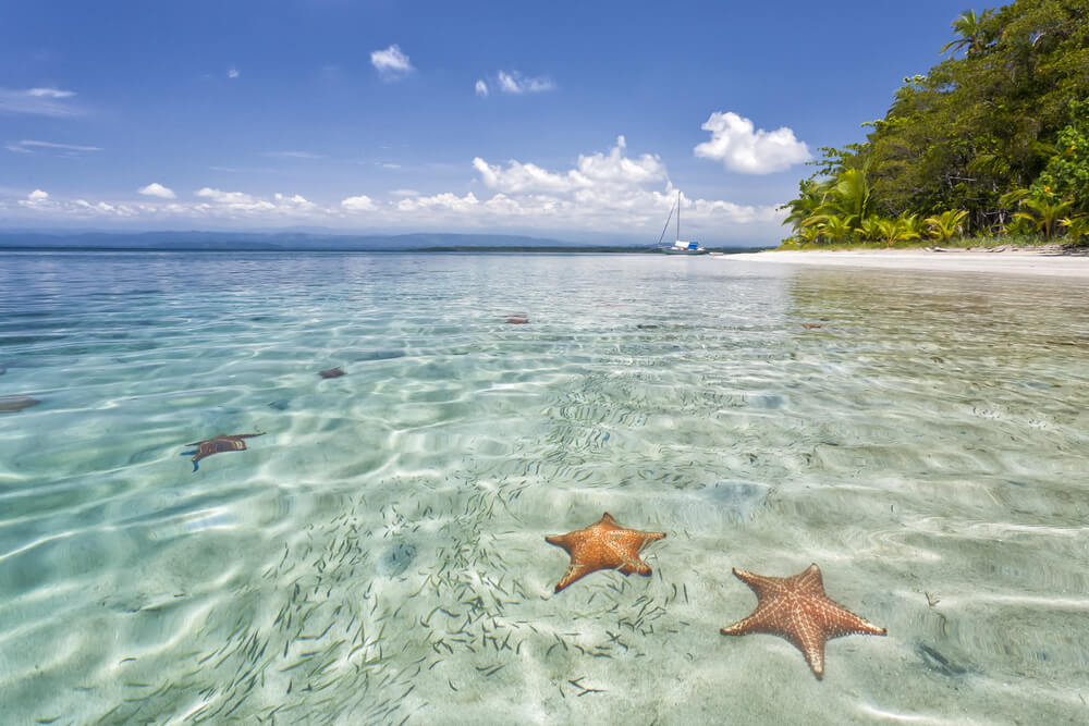 Starfish Beach, Panama