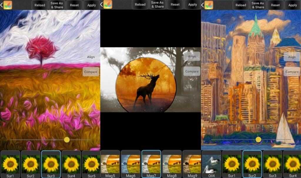 Bonfire Photo Editor Pro