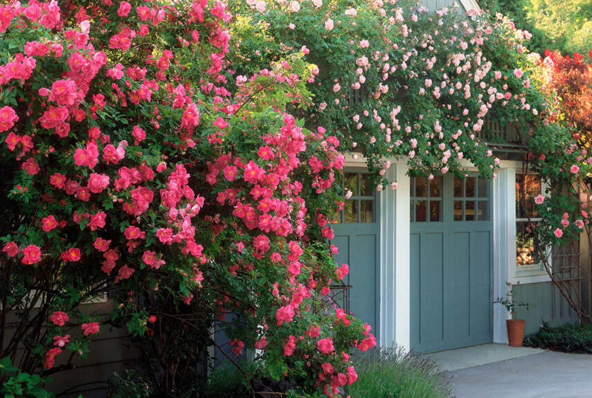 English landscape garden