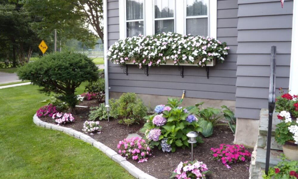 small Front Yard with different types of Plants