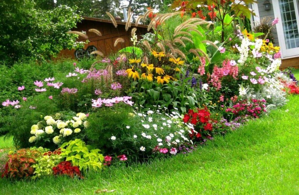 Varity of colorful plants in Front Yard in Philippines