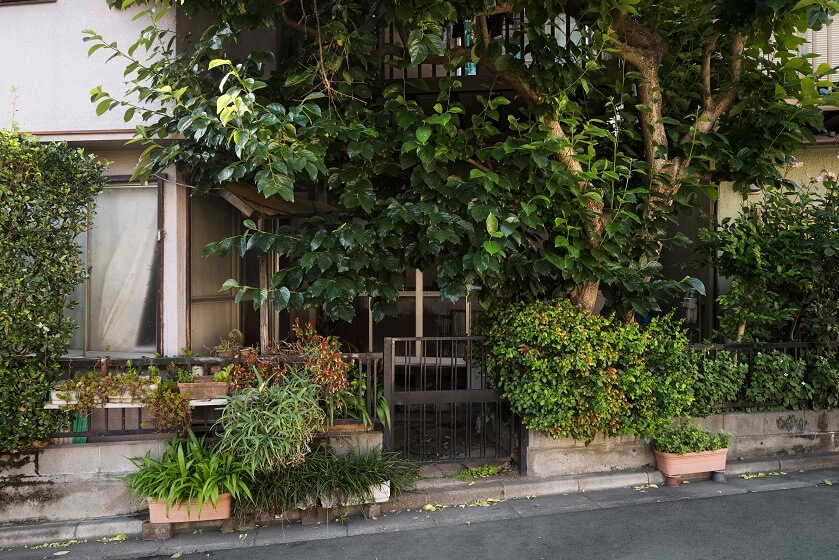 Front yard Landscaping From street