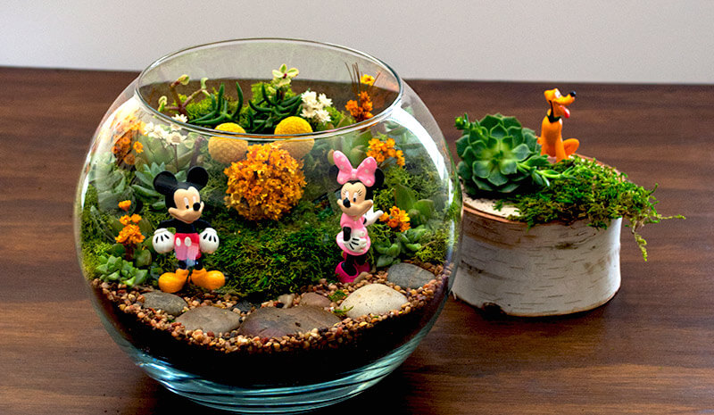 Succulent Terrarium