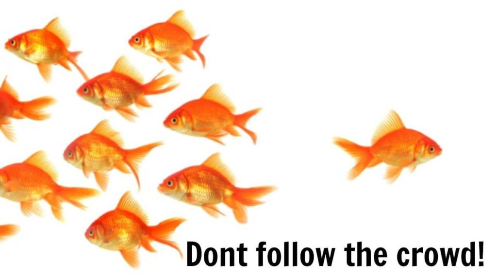 do not follow the crowds