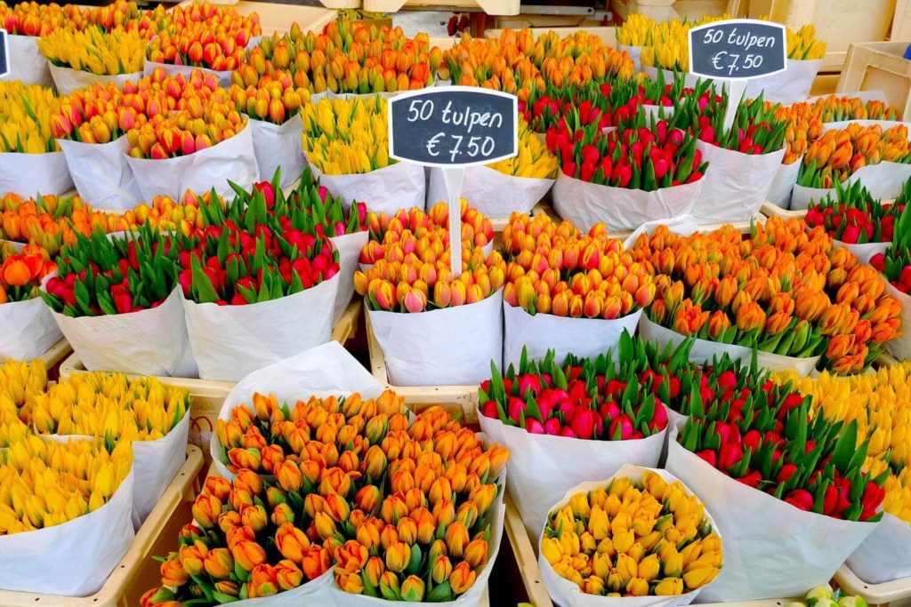Visit The Famous Flower Market