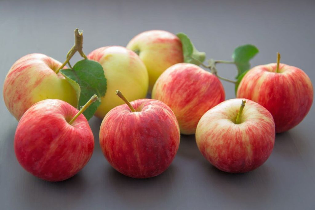 Apples-Summer Season Fruits