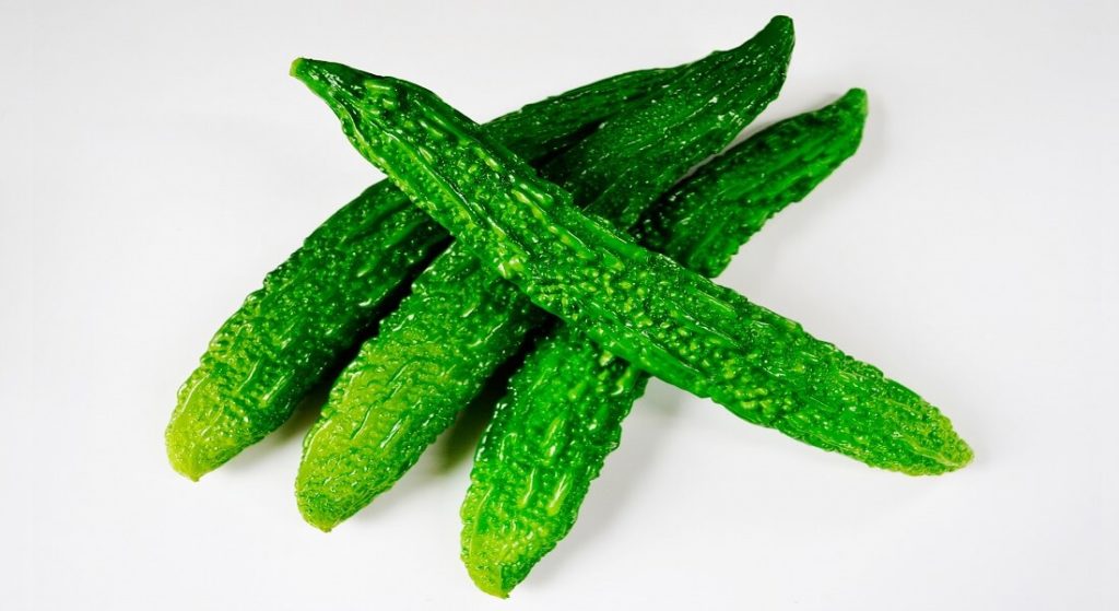 Bittergourd-summer vegetables in india