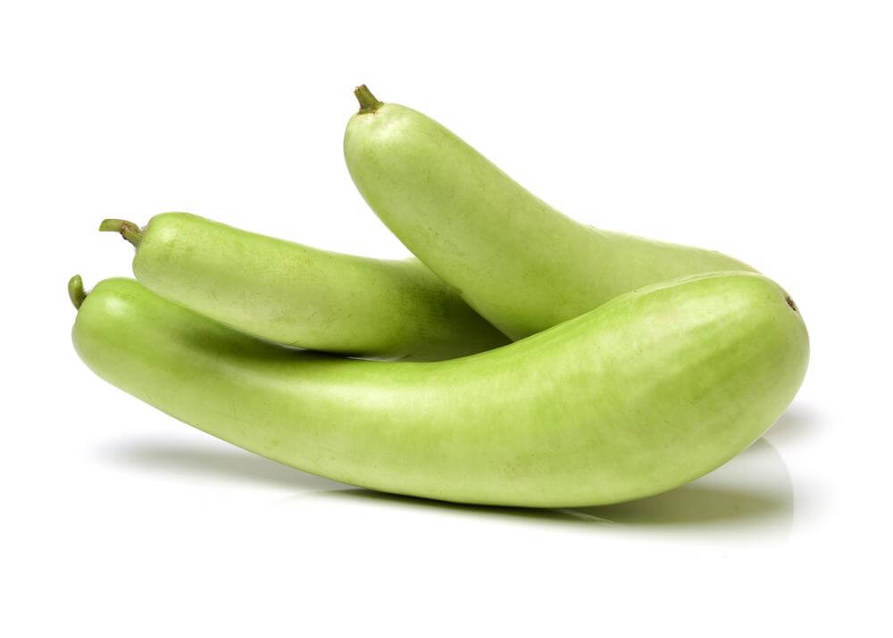 Bottle gourd-summer vegetables in india