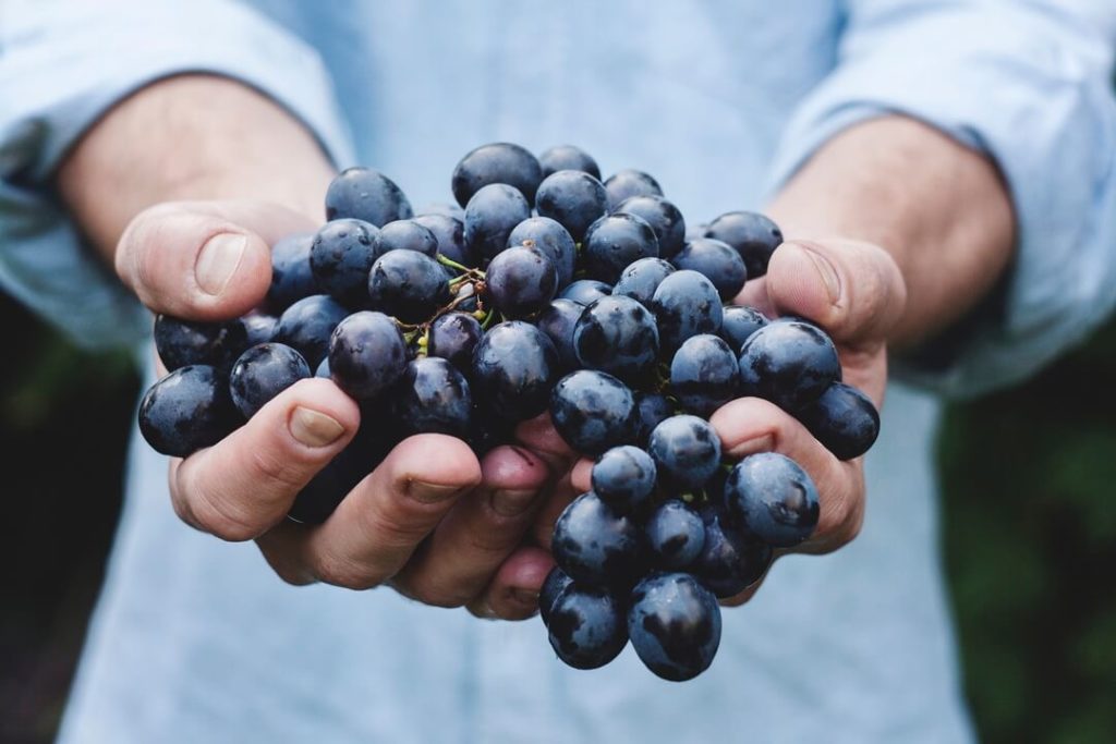 Champagne Grapes-Summer Season Fruits