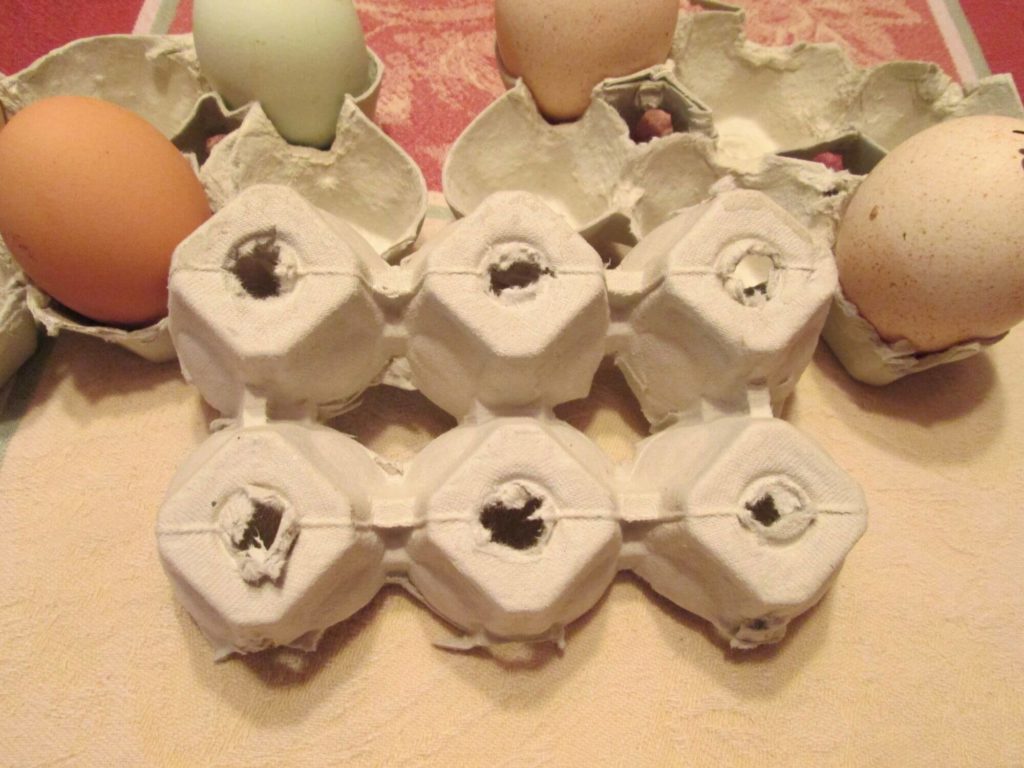 Egg Carton Hatching Chicks easter crafts