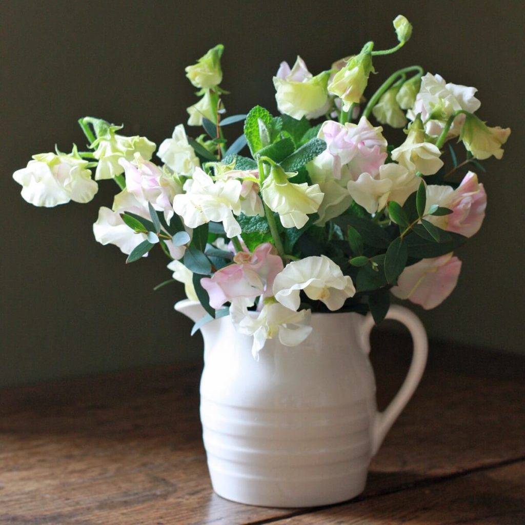 Flowers in a Jug