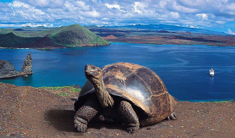 Galapagos Islands