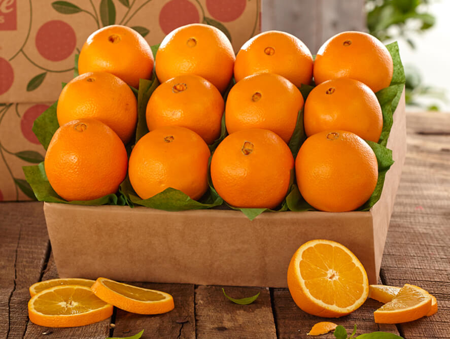Tropical Summer Season Fruits And Vegetables In India Live Enhanced tropical-summer-season-fruits-and-vegetables-in-india-live-enhanced