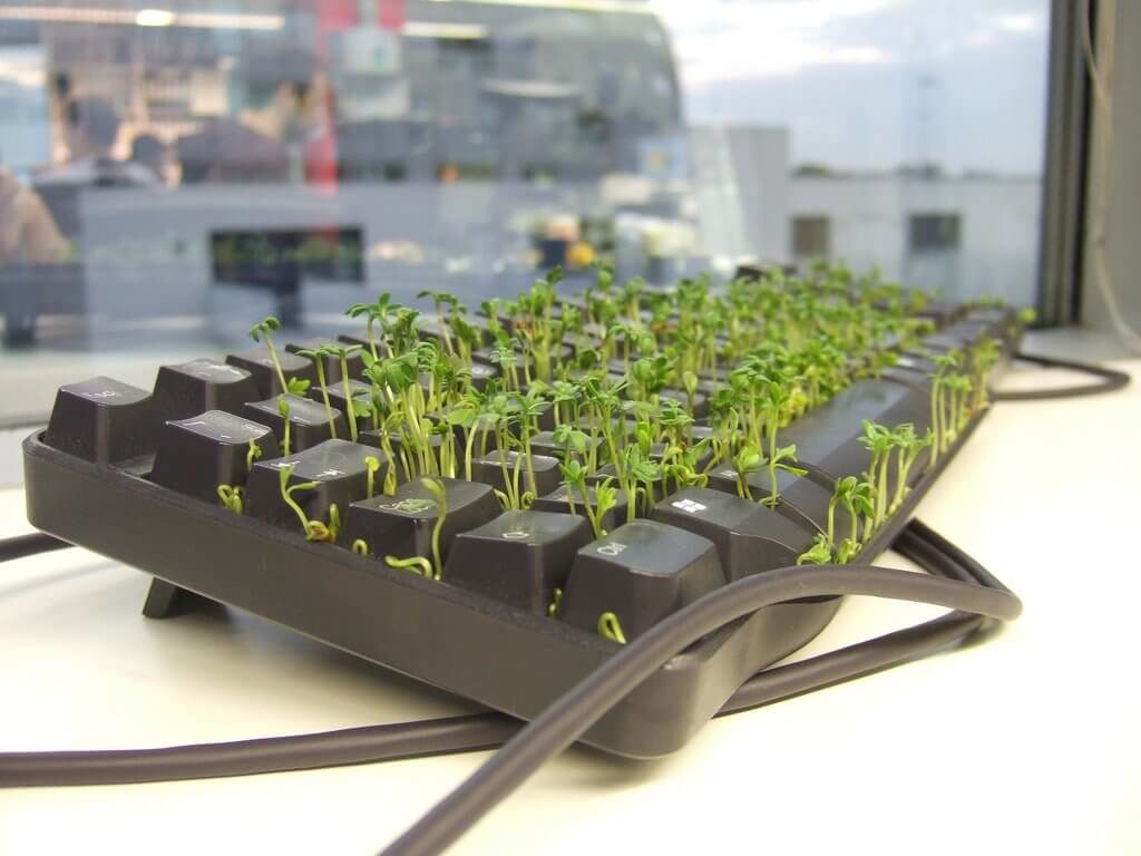 Plant a Grass Garden in Keyboard