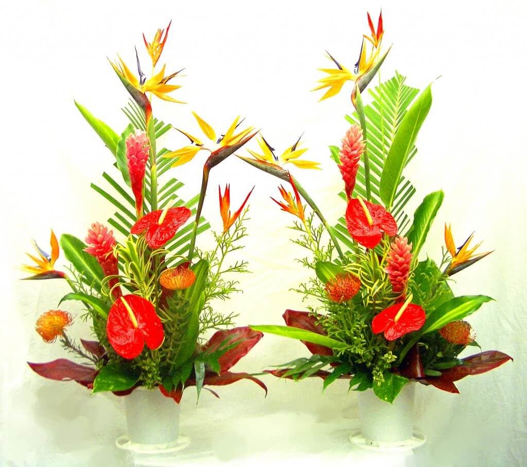 Tropical Arrangement