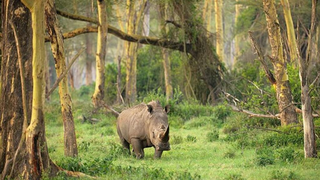 Ujung Kulon National Park