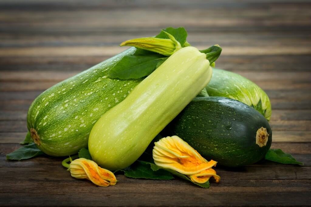 Zucchini-Summer Season Fruits