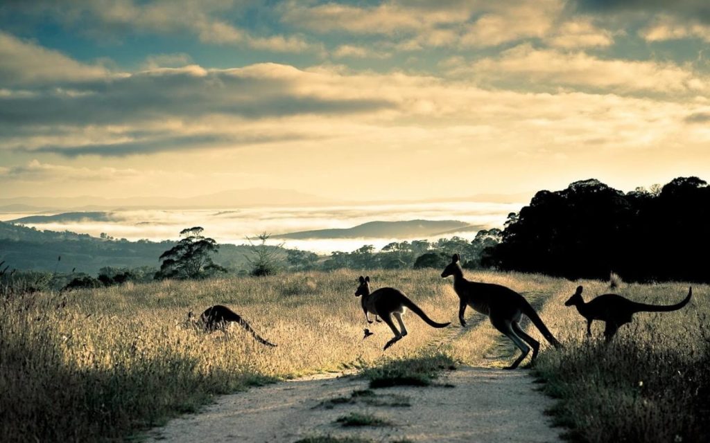 australian landscape photography