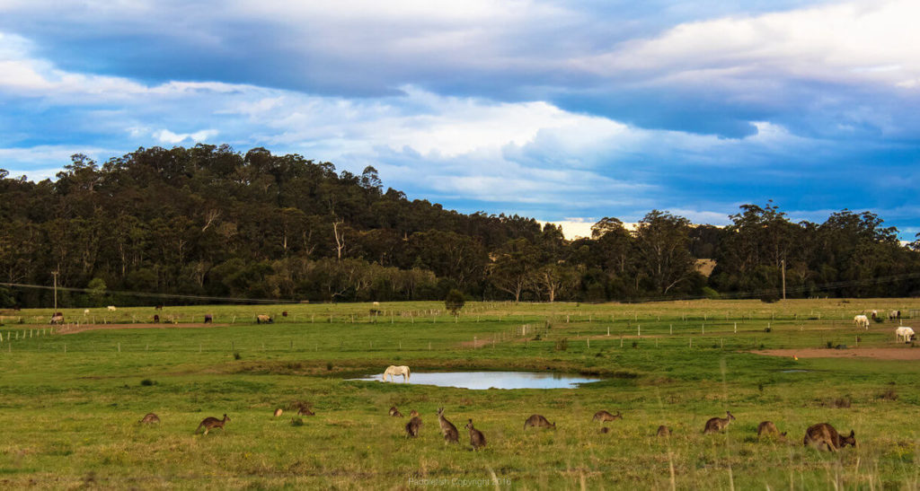 australian landscape photography