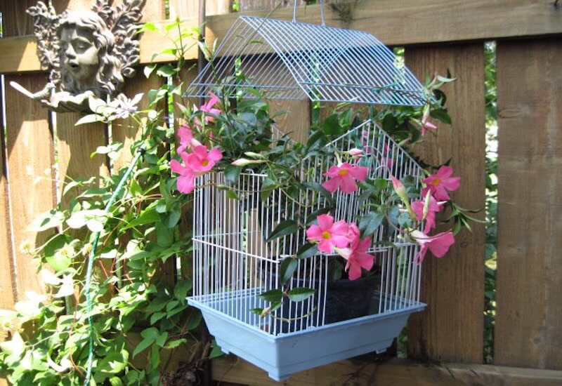 Birdcage diy flower pot