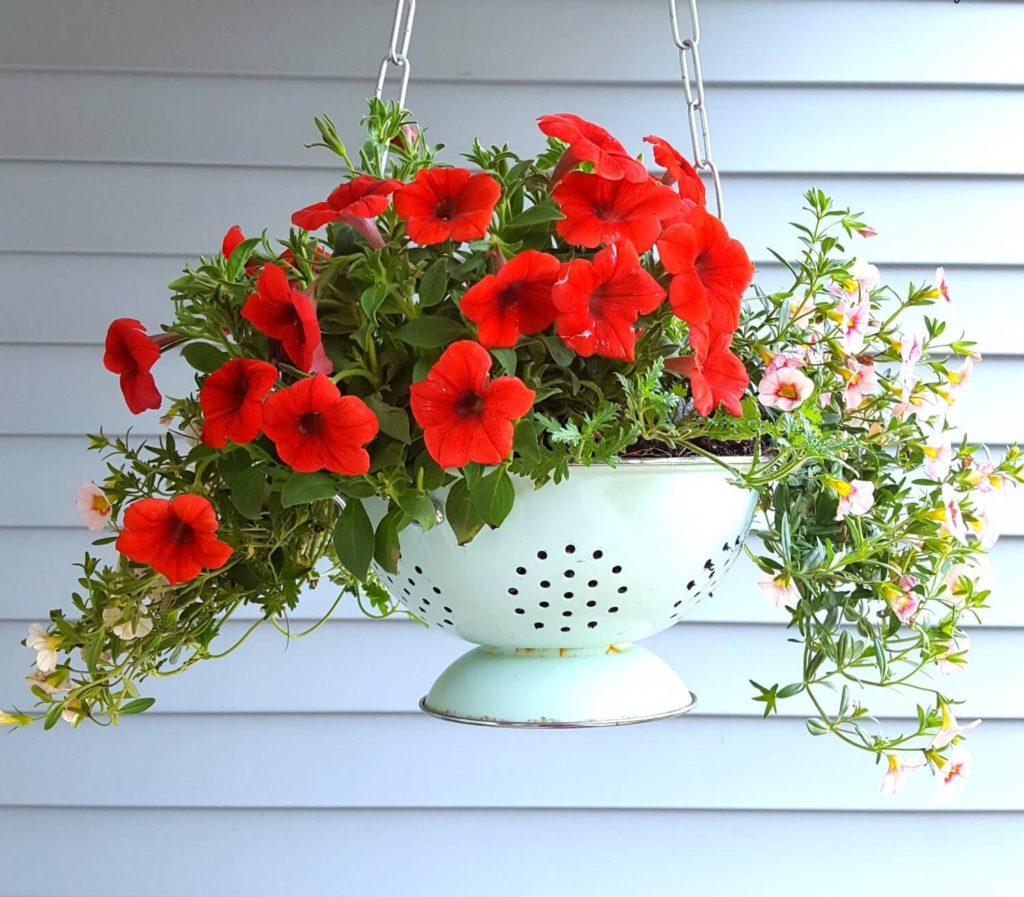 Colander diy flower pot