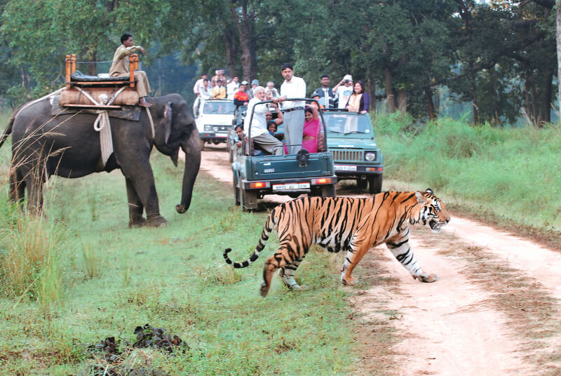 Corbett National Park - tourist places in india