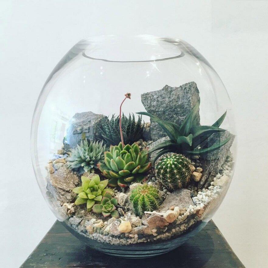Desert Oasis with Aquarium Glass diy flower pot