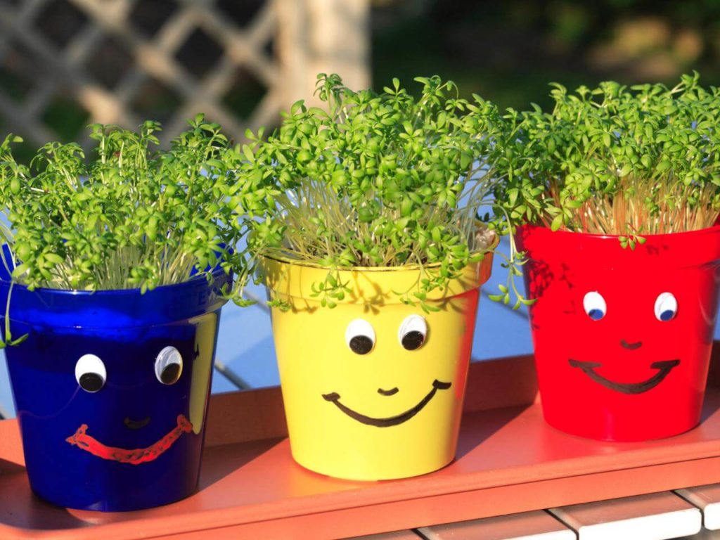 Put on a Happy Face diy flower pot