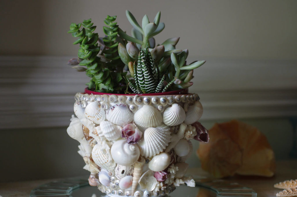 Shell Covered diy flower pot