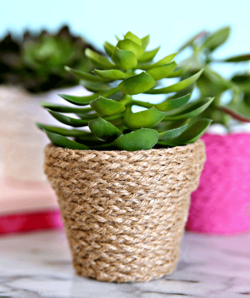 Twine Wrapped Terracotta diy flower pot