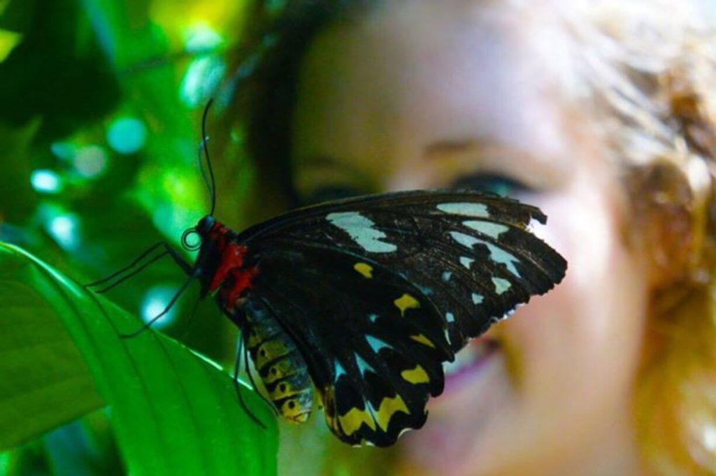 Visit a butterfly sanctuary-travel bucket list