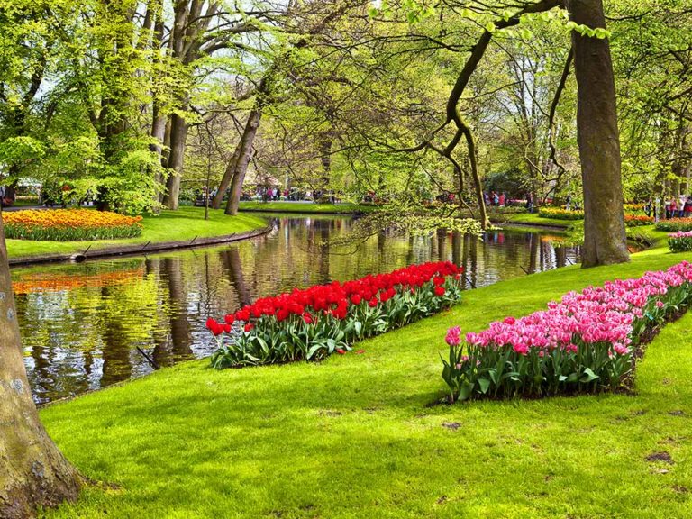 Beautiful & Unique Flower Garden Pictures Of 2021 Live Enhanced