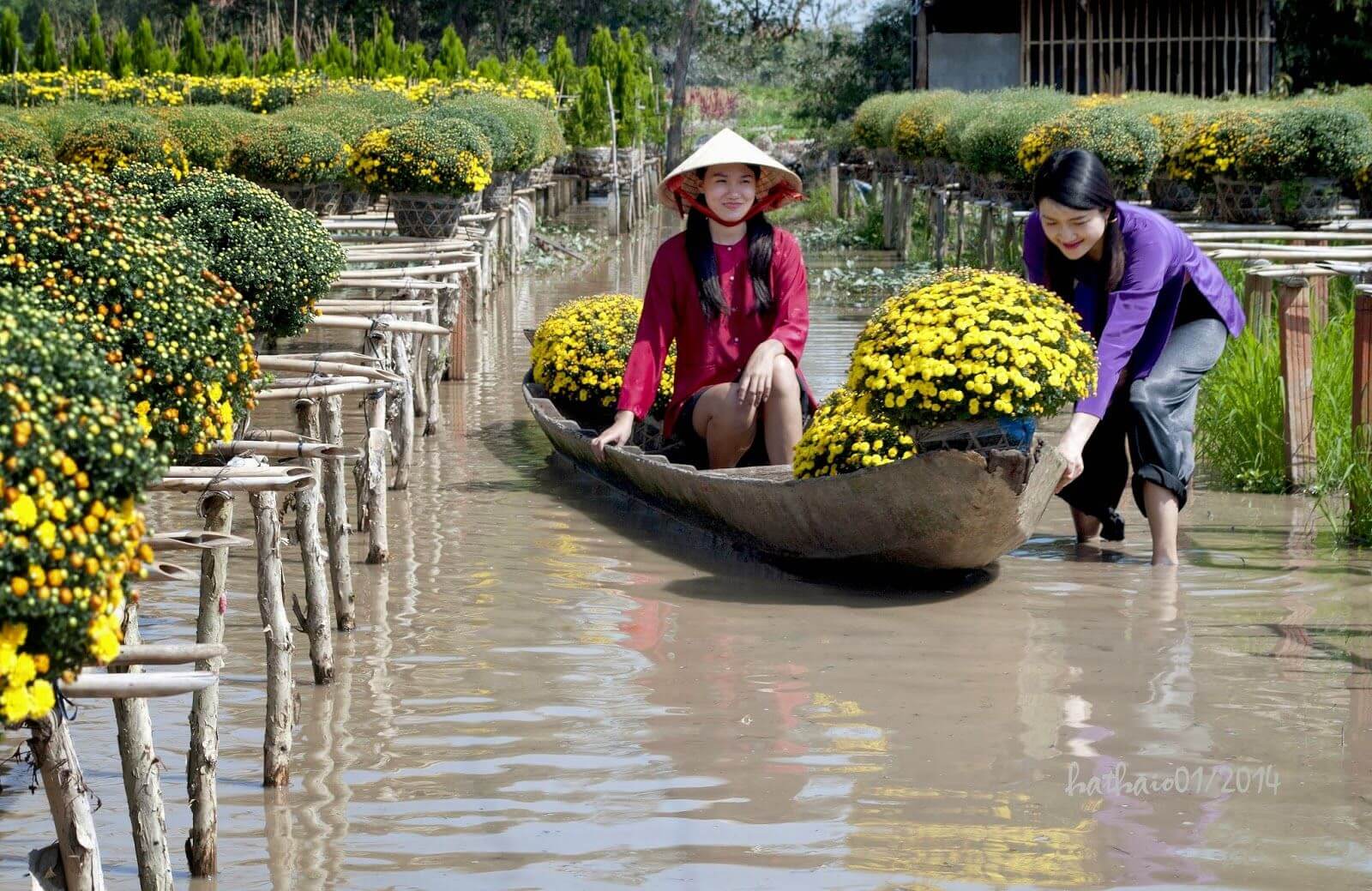 beautiful flower garden pictures