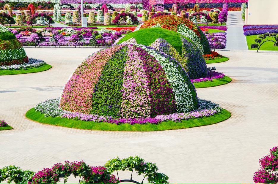 beautiful flower garden pictures 