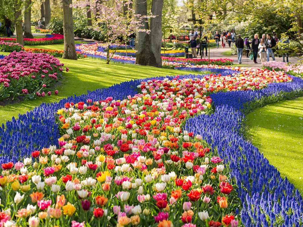 beautiful flower garden pictures 