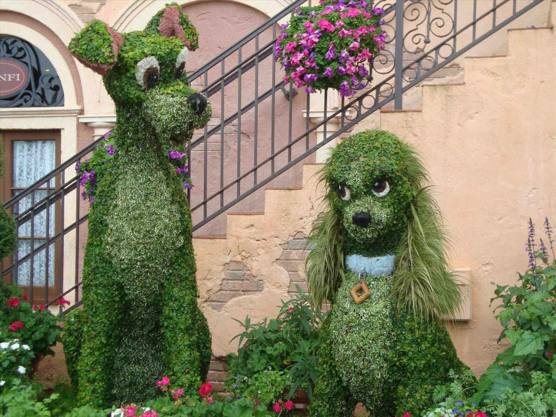 beautiful flower garden pictures 