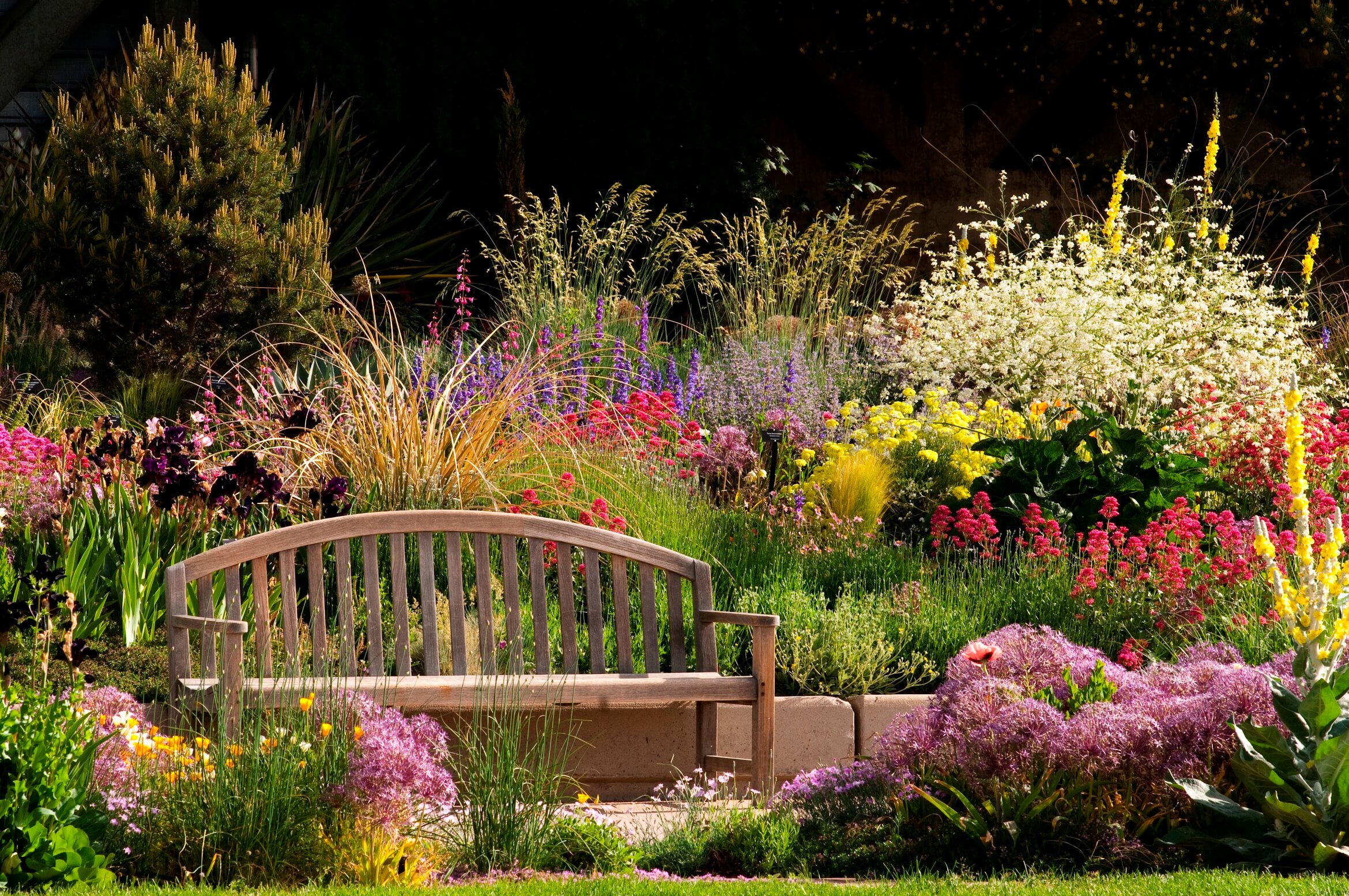 beautiful flower garden pictures