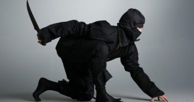 Ninjutsu Martial Arts Self Defense Techniques