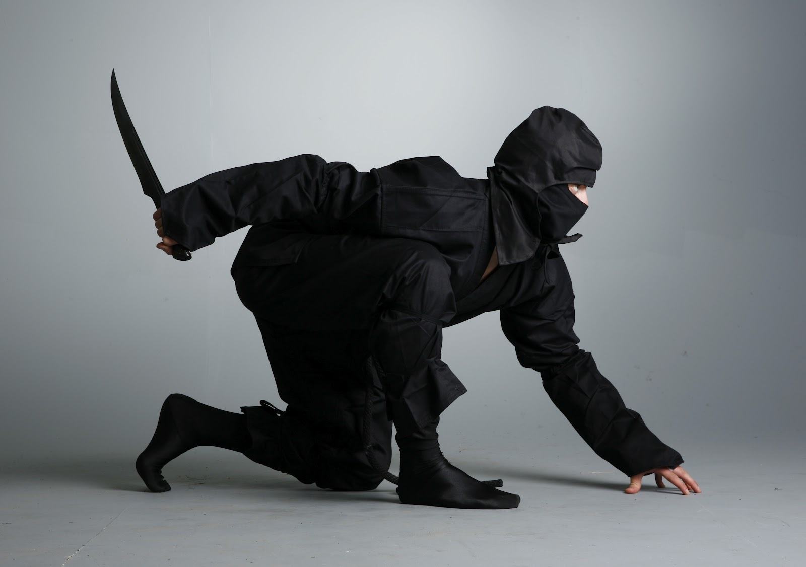 Ninjutsu Martial Arts Self Defense Techniques
