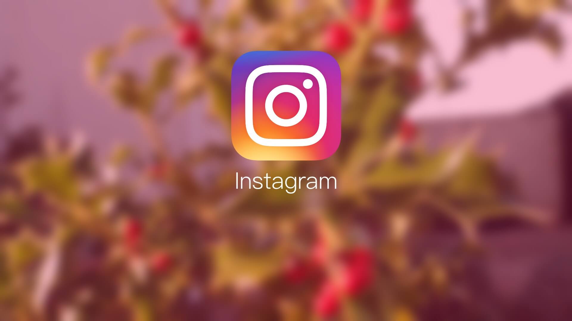 followers for Instagram