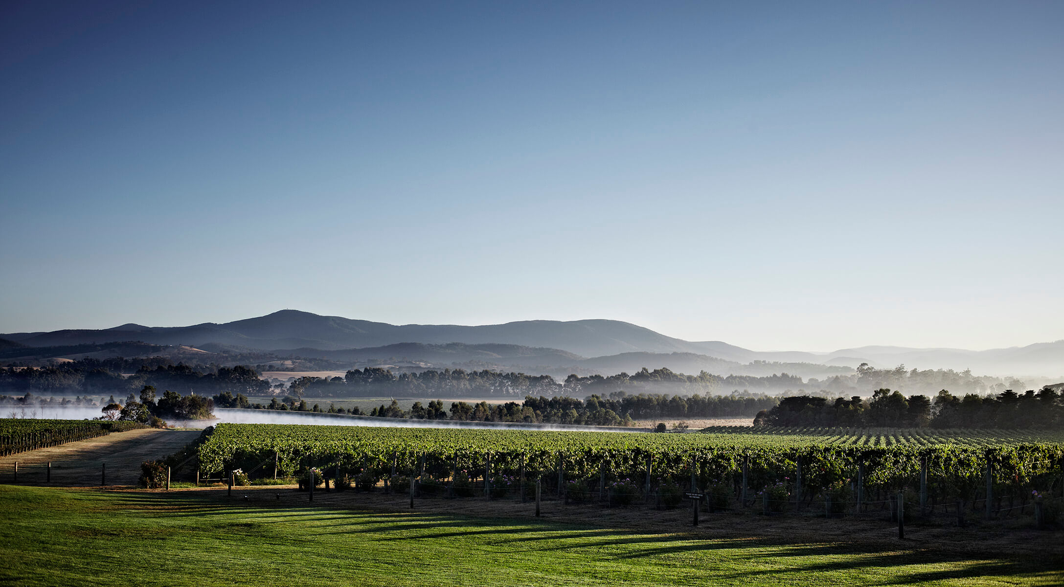 yarra valley wineries