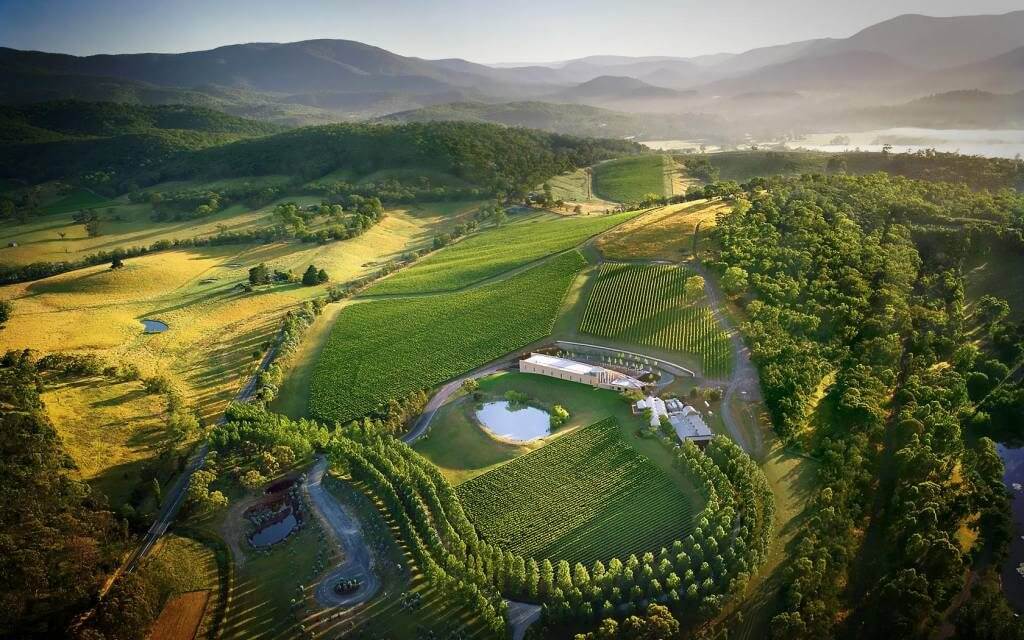 yarra valley vineyard tour