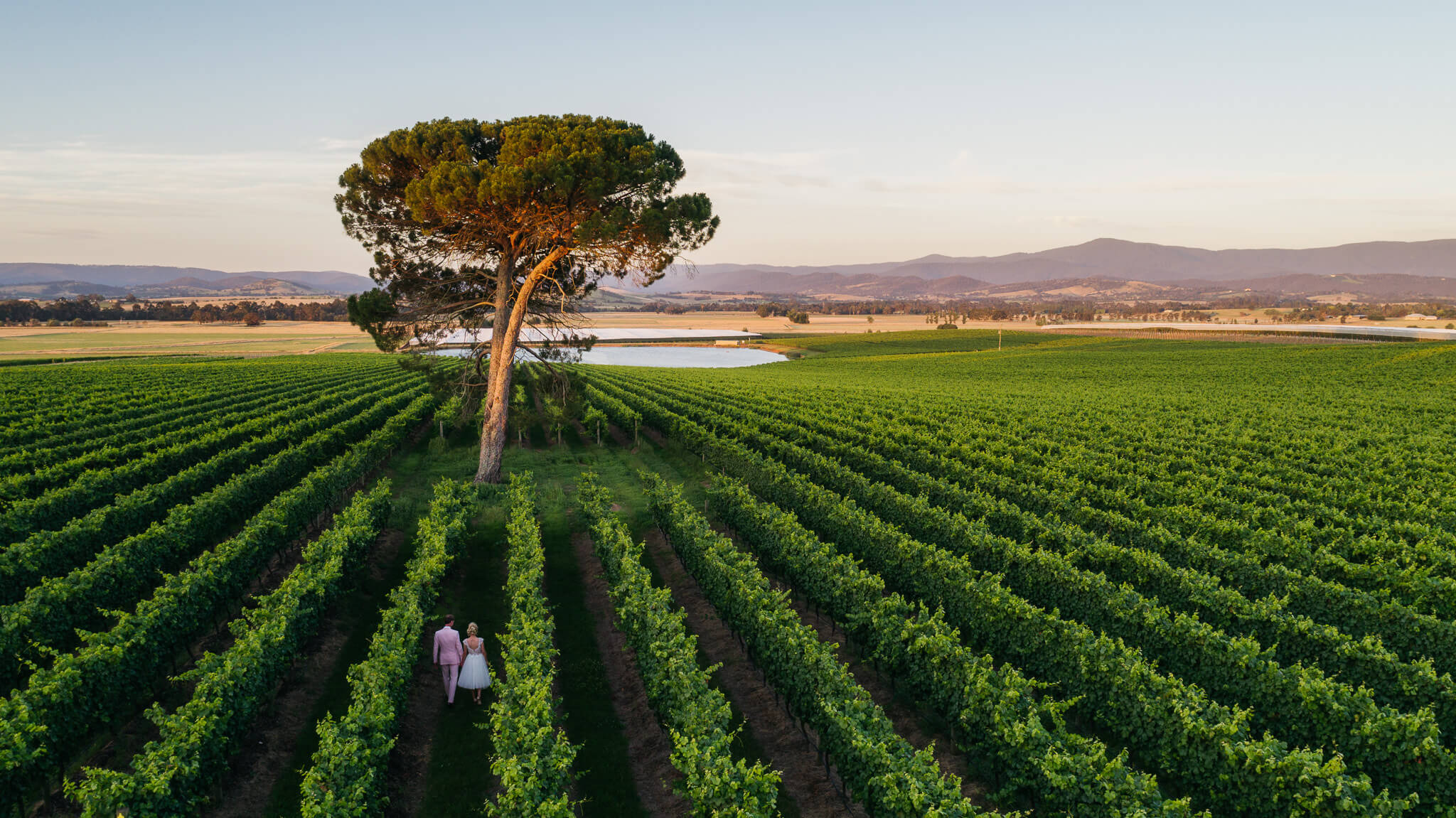 yarra valley wineries