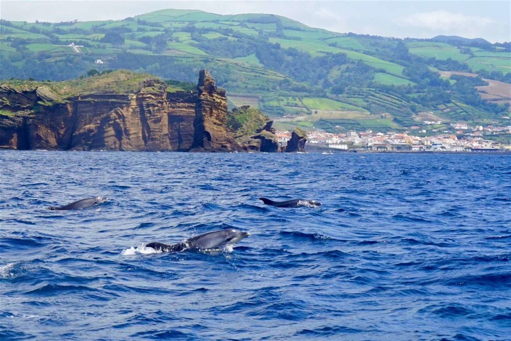 Beautiful Autonomous Region of the Azores 1jpeg