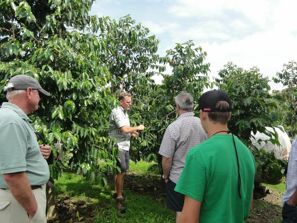 Kona Coffee Farms