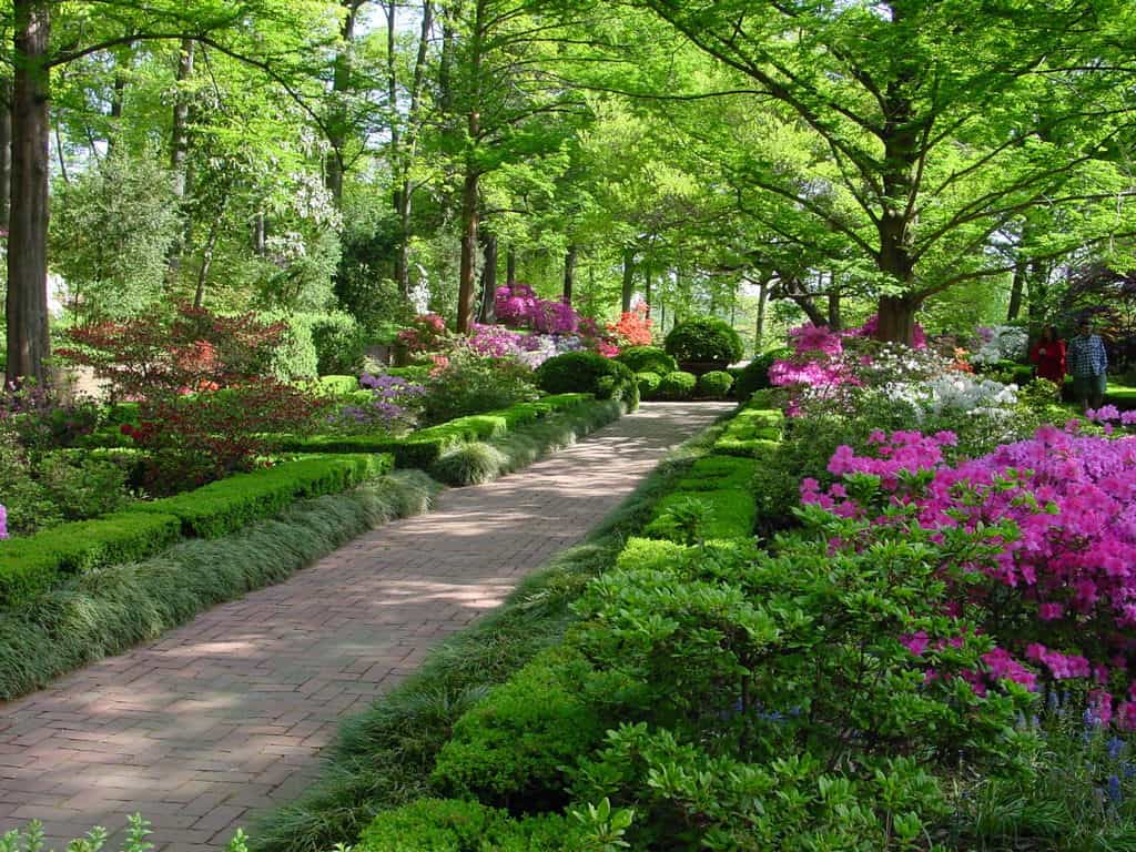 The Dallas Arboretum and Botanical Garden